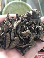 東北農副產品概覽 常見品類、價格趨勢與識別指南