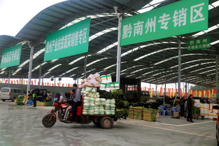 雙龍農副產品交易中心蔬菜交易區試運營，暢通黔貨出山新通道